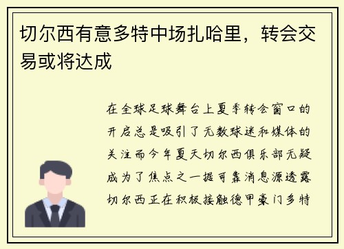 切尔西有意多特中场扎哈里，转会交易或将达成